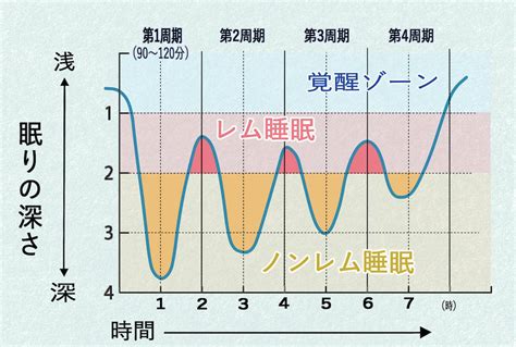 睡眠中|睡眠メカニズムをわかりやすく解説！レム睡眠とノン。